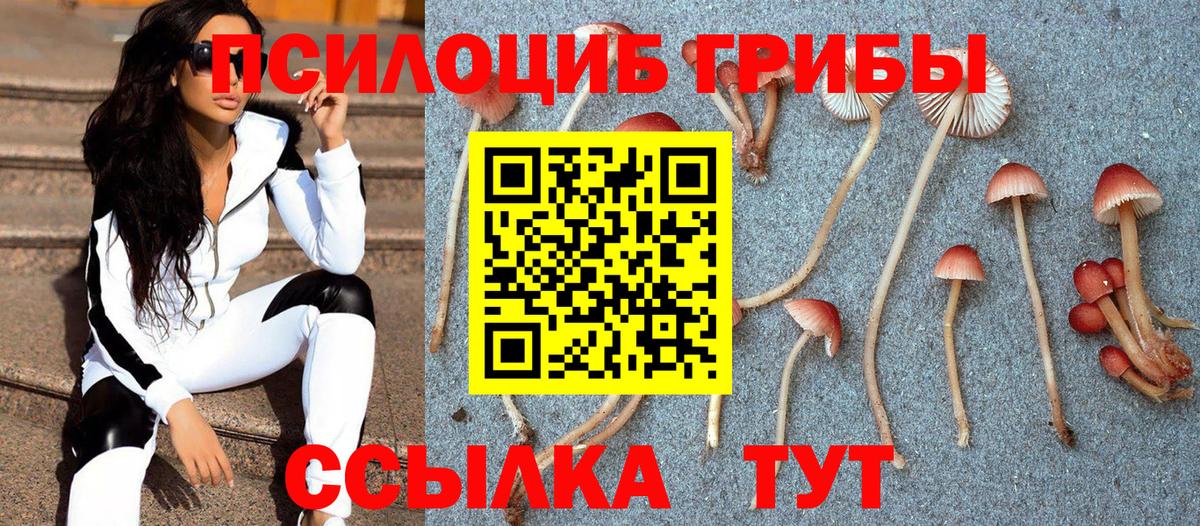 Бузулук  Псилоцибиновые грибы прущие грибы  Вход с VPN 