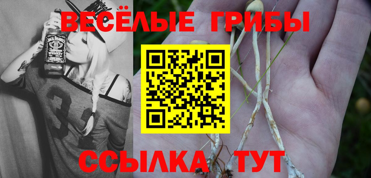 Галлюциногенные грибы мицелий Бузулук